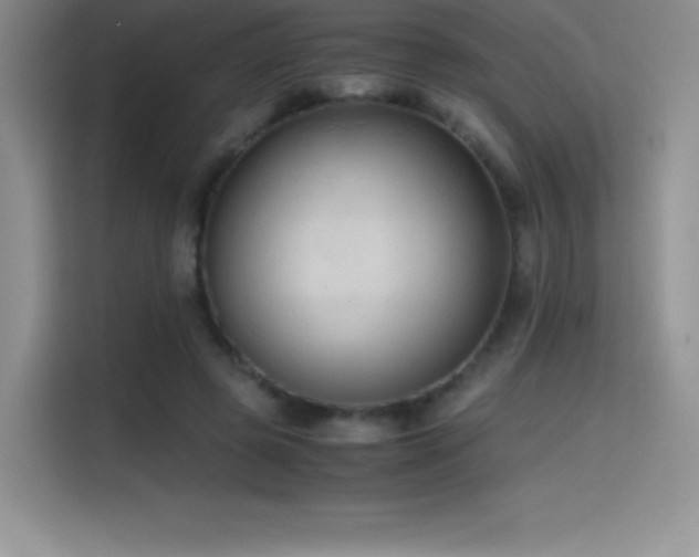 X0000114620545200910201134