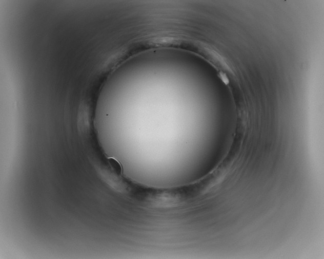 X0000114620546200910201134