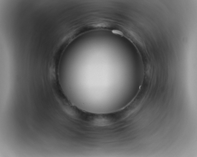 X0000114620547200910201134