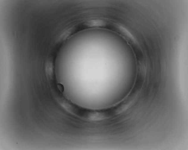 X0000114620549200910201134