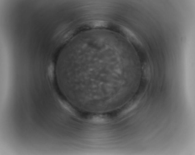 X0000114620550200910201134