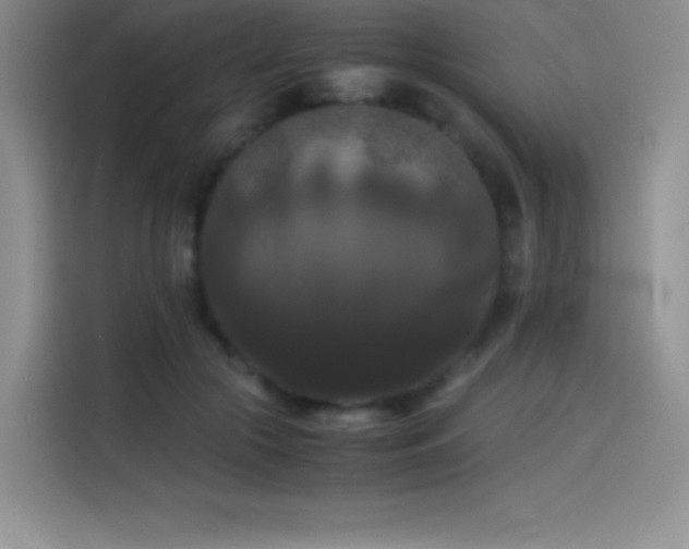 X0000114620553200910201135