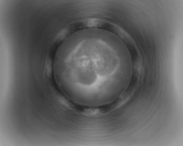 X0000114620554200910201135