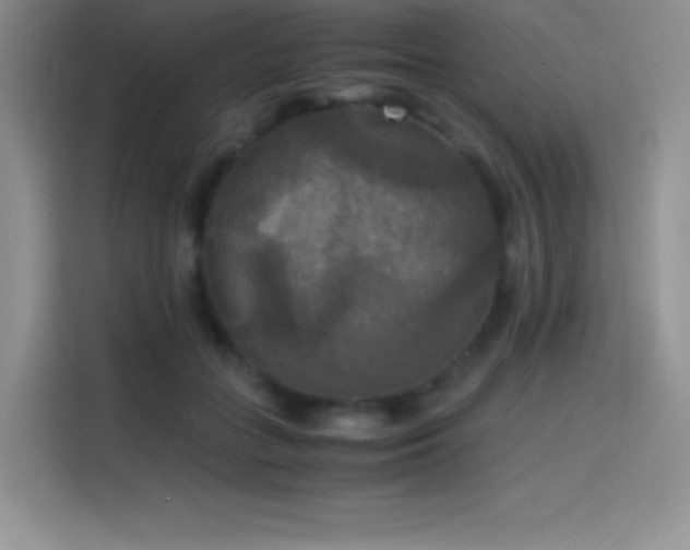 X0000114620555200910201135