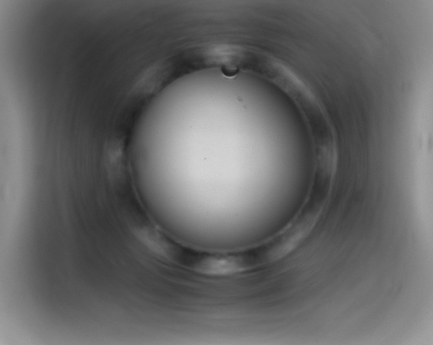 X0000114620557200910201135