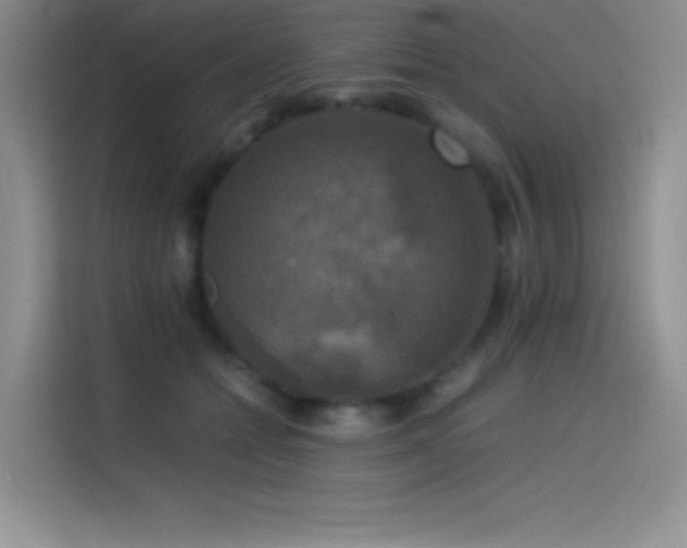 X0000114620558200910201135