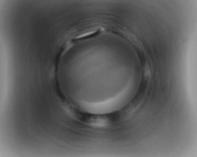 X0000114620559200910201135