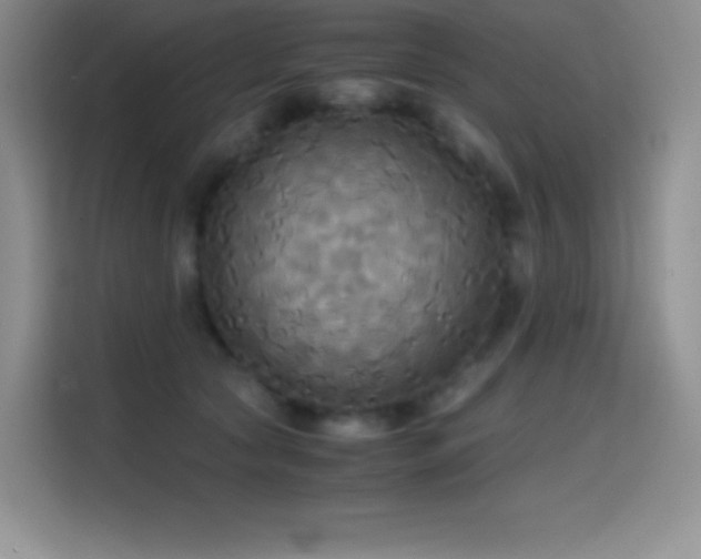 X0000114620561200910201135