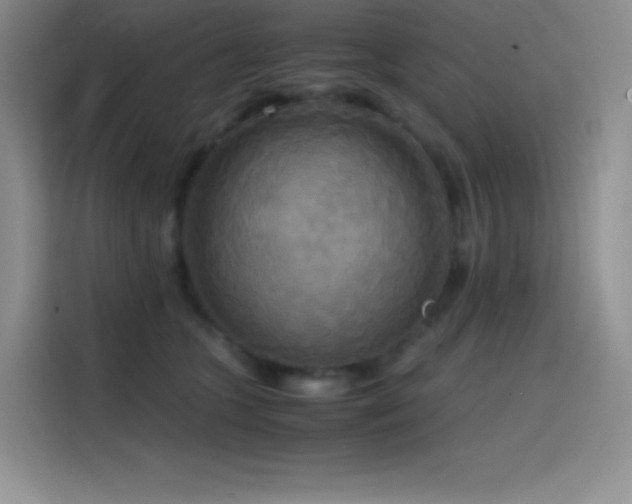 X0000114620563200910201135