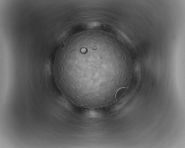 X0000114620565200910201135