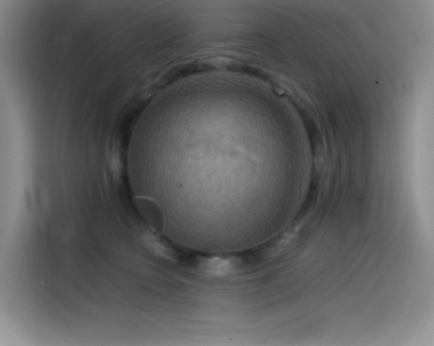 X0000114620566200910201135
