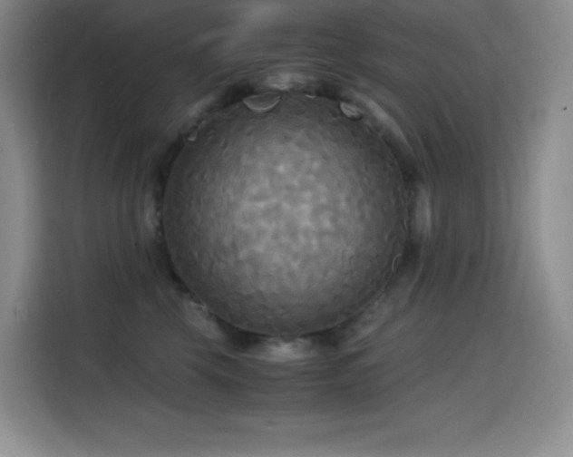 X0000114620569200910201135