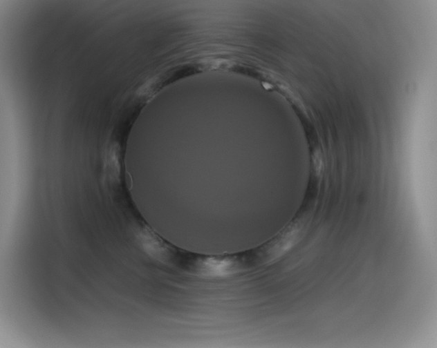 X0000114620570200910201135