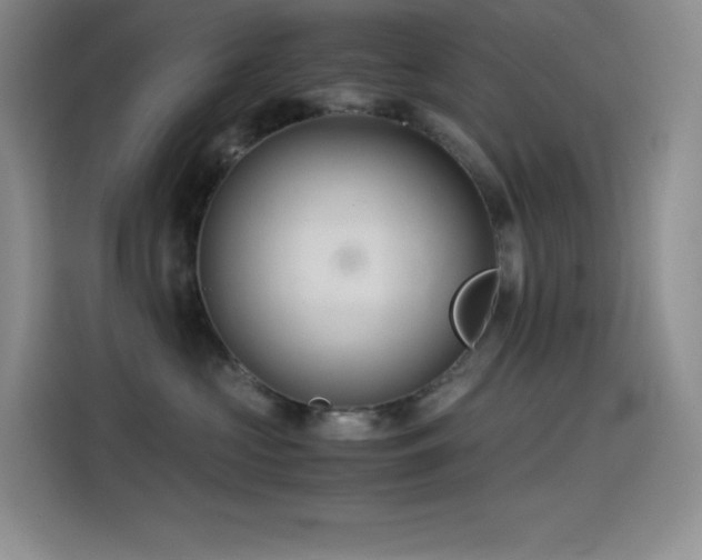X0000114620573200910201135