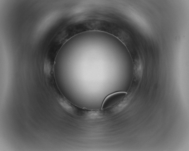 X0000114620574200910201135