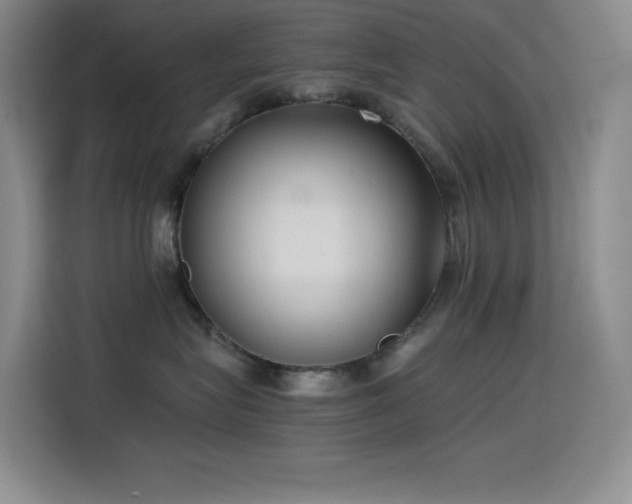 X0000114620575200910201135