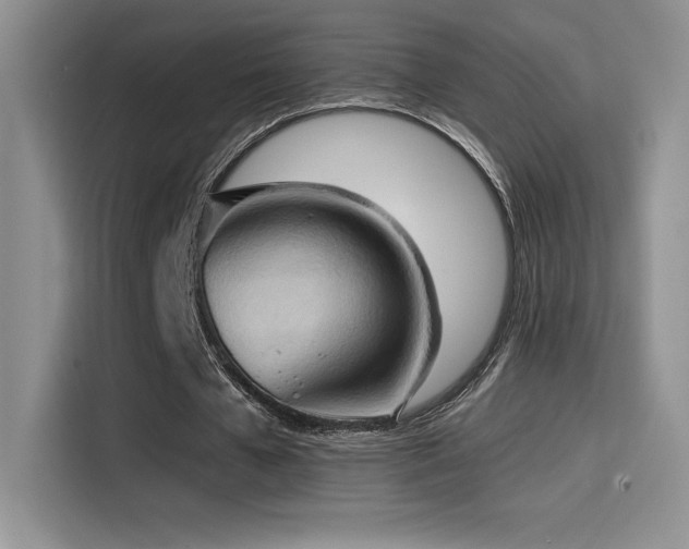 X0000114620577200910201134