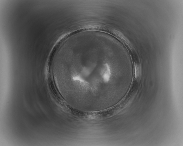 X0000114620579200910201134