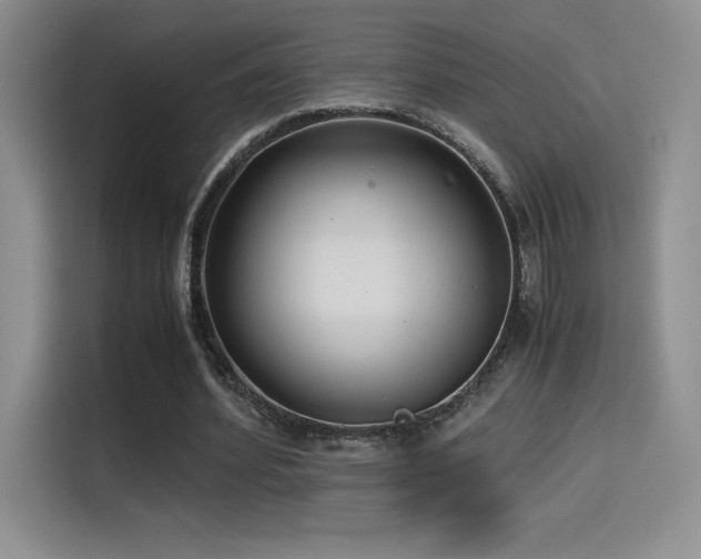 X0000114620580200910201134