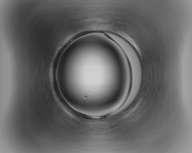 X0000114620581200910201134