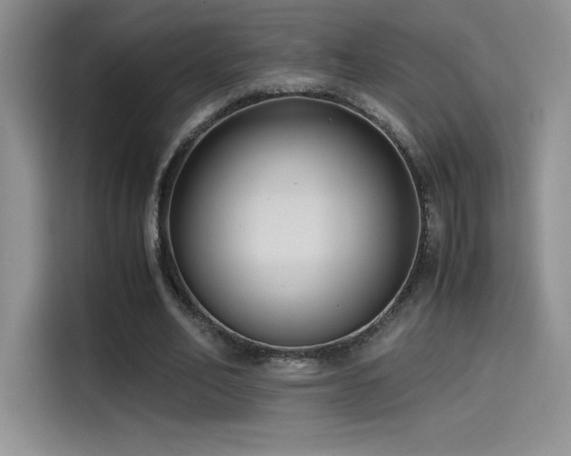 X0000114620582200910201134