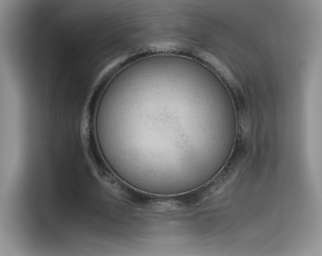 X0000114620583200910201134