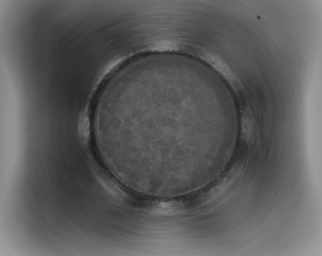 X0000114620584200910201134