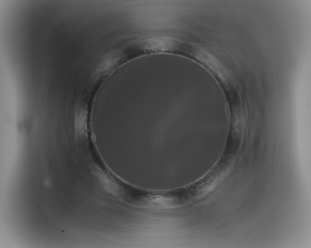 X0000114620585200910201134