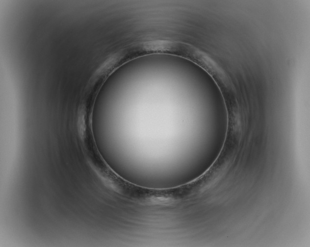 X0000114620586200910201134