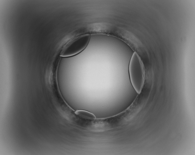 X0000114620587200910201134