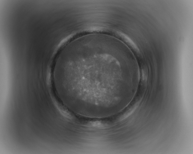 X0000114620588200910201134