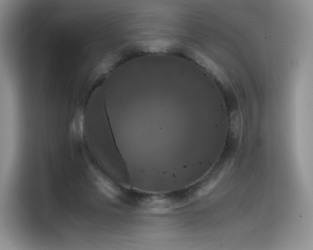 X0000114620589200910201134