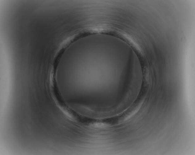 X0000114620590200910201134