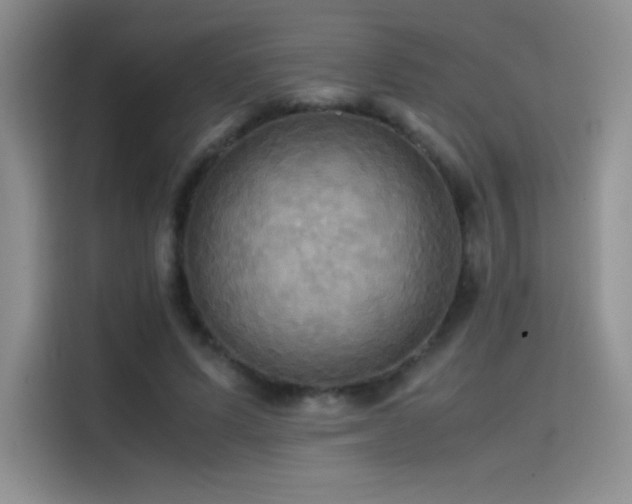 X0000114620591200910201134