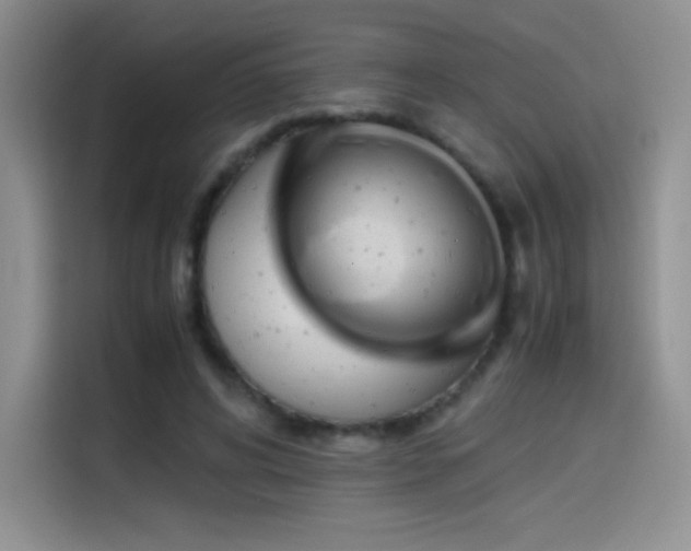 X0000114620592200910201134