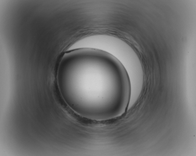 X0000114620593200910201134
