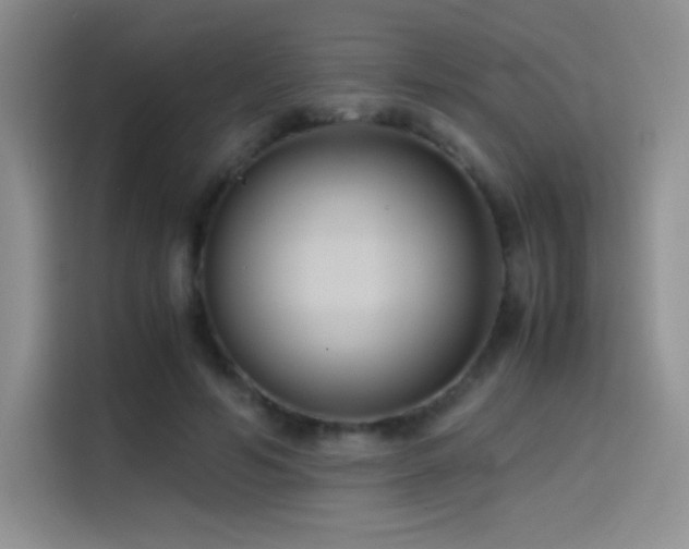 X0000114620594200910201134