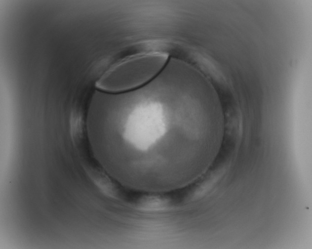 X0000114620597200910201134