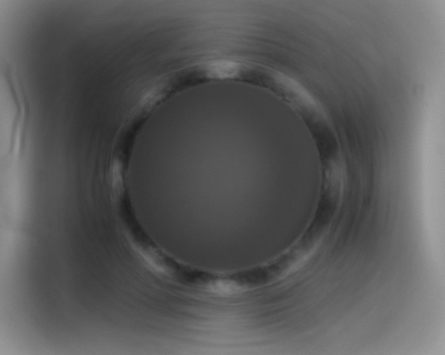 X0000114620598200910201134