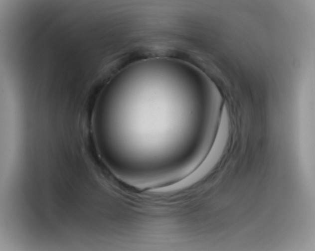 X0000114620599200910201134
