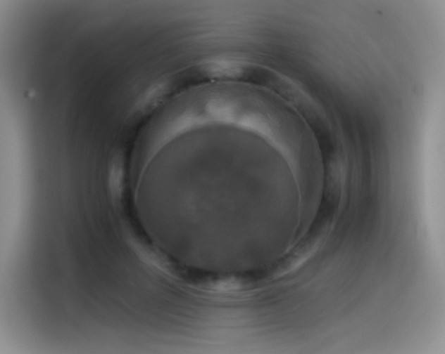 X0000114620600200910201134
