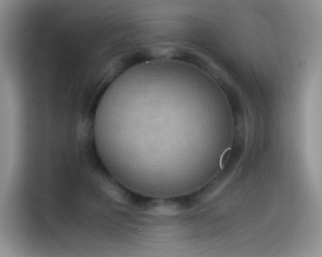 X0000114620601200910201134