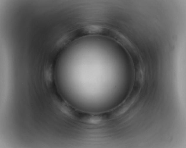 X0000114620604200910201134