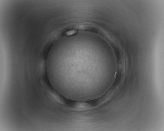 X0000114620605200910201134