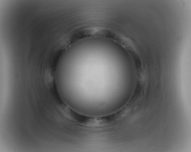 X0000114620607200910201134