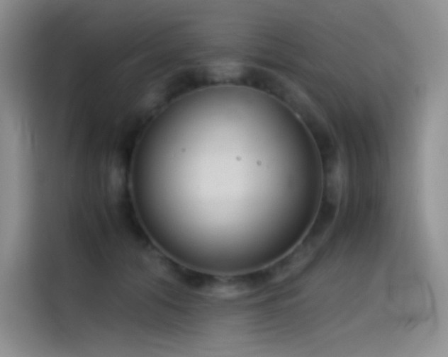 X0000114620608200910201134