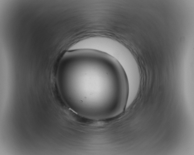 X0000114620609200910201134
