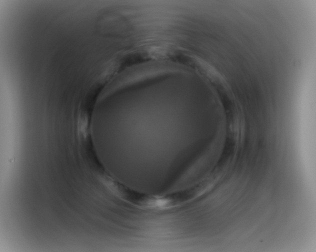X0000114620610200910201134