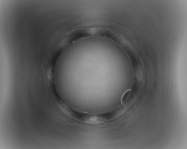 X0000114620611200910201134
