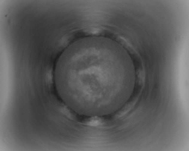 X0000114620612200910201134